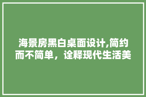 海景房黑白桌面设计,简约而不简单，诠释现代生活美学