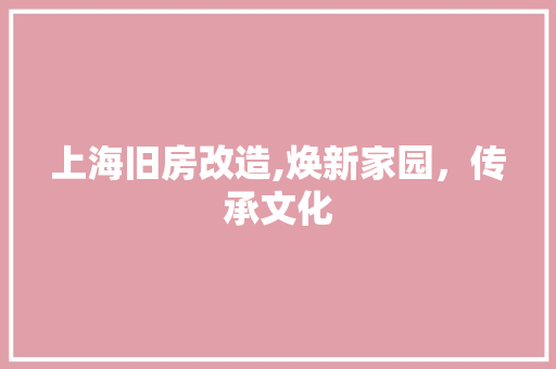 上海旧房改造,焕新家园，传承文化