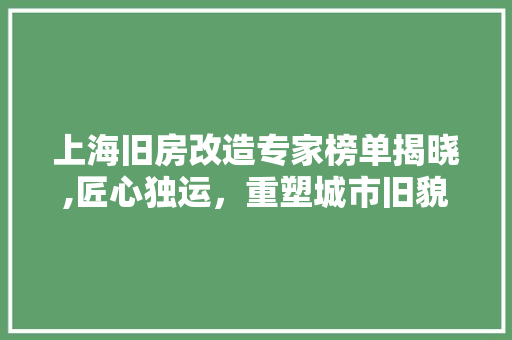 上海旧房改造专家榜单揭晓,匠心独运，重塑城市旧貌