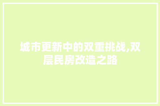 城市更新中的双重挑战,双层民房改造之路