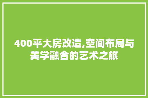400平大房改造,空间布局与美学融合的艺术之旅