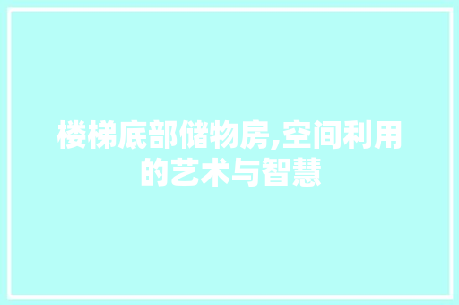 楼梯底部储物房,空间利用的艺术与智慧