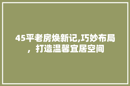 45平老房焕新记,巧妙布局，打造温馨宜居空间