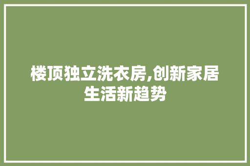 楼顶独立洗衣房,创新家居生活新趋势