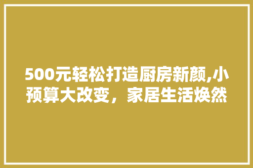 500元轻松打造厨房新颜,小预算大改变，家居生活焕然一新