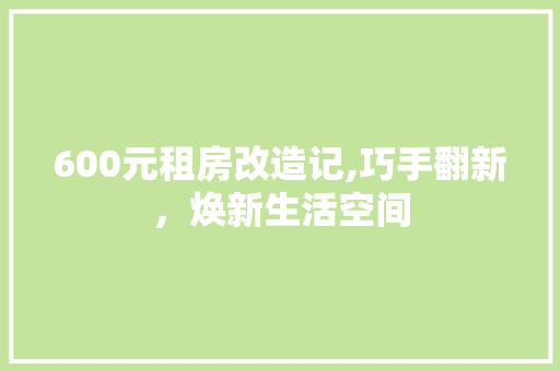 600元租房改造记,巧手翻新，焕新生活空间