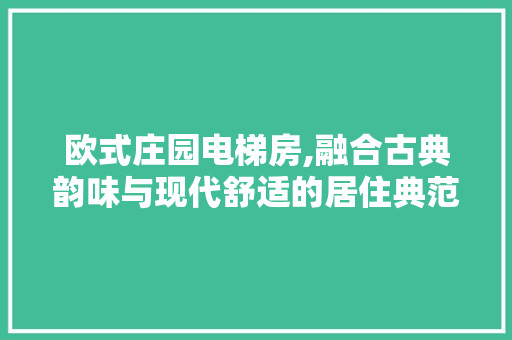 欧式庄园电梯房,融合古典韵味与现代舒适的居住典范