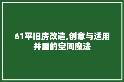 61平旧房改造,创意与适用并重的空间魔法