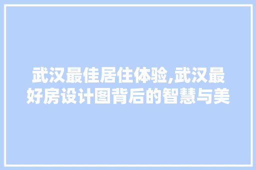 武汉最佳居住体验,武汉最好房设计图背后的智慧与美学