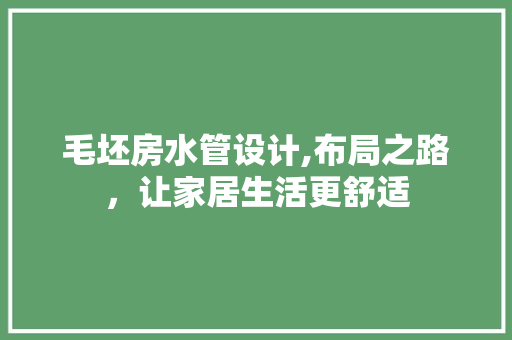 毛坯房水管设计,布局之路，让家居生活更舒适