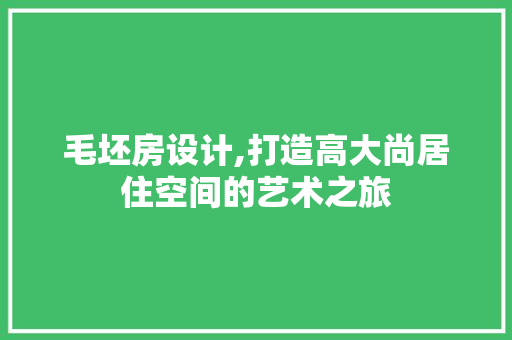 毛坯房设计,打造高大尚居住空间的艺术之旅