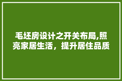 毛坯房设计之开关布局,照亮家居生活，提升居住品质