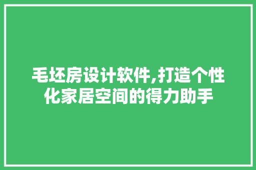 毛坯房设计软件,打造个性化家居空间的得力助手