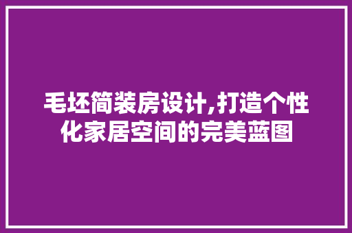 毛坯简装房设计,打造个性化家居空间的完美蓝图