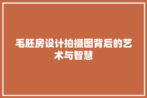 毛胚房设计拍摄图背后的艺术与智慧