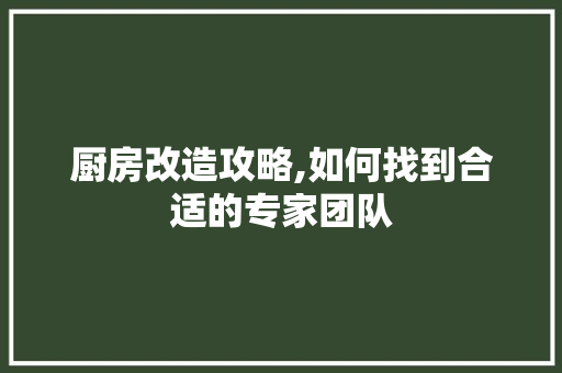 厨房改造攻略,如何找到合适的专家团队