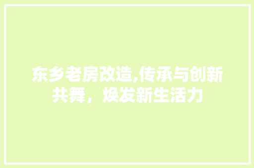 东乡老房改造,传承与创新共舞，焕发新生活力