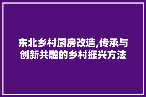 东北乡村厨房改造,传承与创新共融的乡村振兴方法