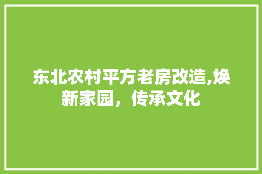 东北农村平方老房改造,焕新家园，传承文化