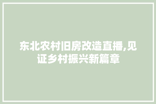 东北农村旧房改造直播,见证乡村振兴新篇章