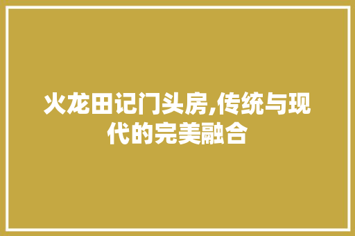 火龙田记门头房,传统与现代的完美融合
