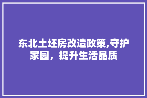 东北土坯房改造政策,守护家园，提升生活品质