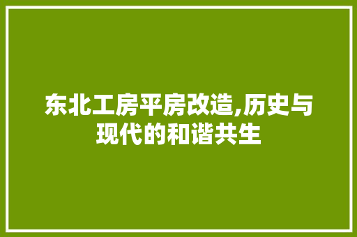 东北工房平房改造,历史与现代的和谐共生