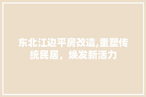 东北江边平房改造,重塑传统民居，焕发新活力