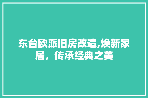 东台欧派旧房改造,焕新家居，传承经典之美
