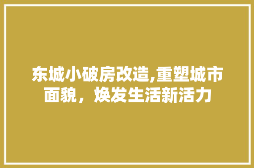 东城小破房改造,重塑城市面貌，焕发生活新活力