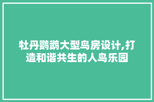 牡丹鹦鹉大型鸟房设计,打造和谐共生的人鸟乐园