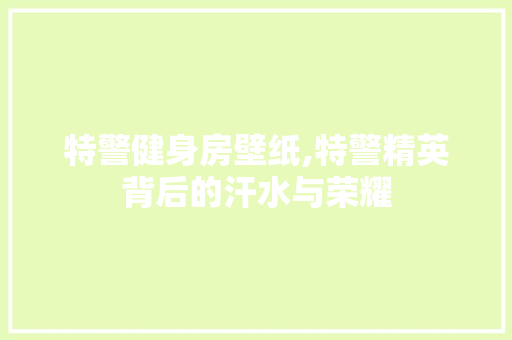 特警健身房壁纸,特警精英背后的汗水与荣耀