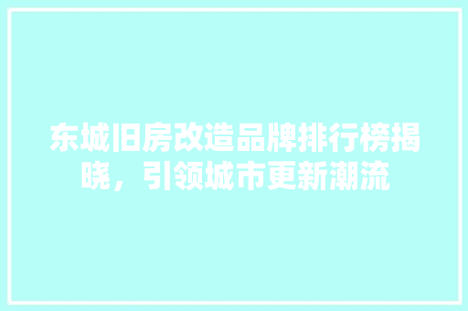 东城旧房改造品牌排行榜揭晓，引领城市更新潮流