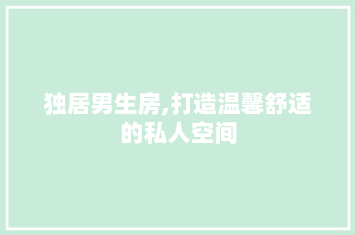 独居男生房,打造温馨舒适的私人空间