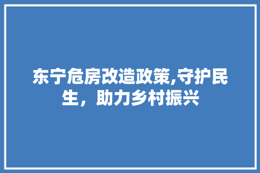 东宁危房改造政策,守护民生，助力乡村振兴