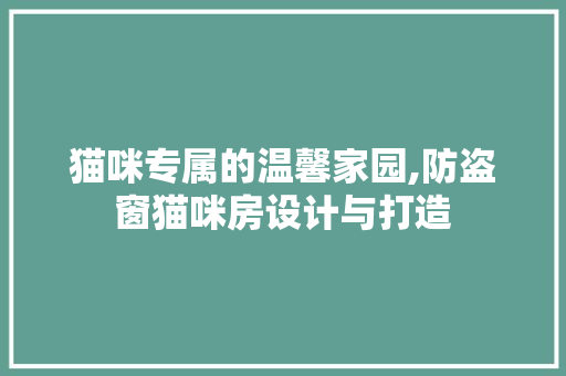 猫咪专属的温馨家园,防盗窗猫咪房设计与打造