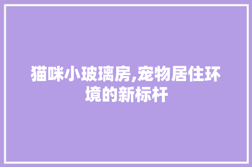 猫咪小玻璃房,宠物居住环境的新标杆