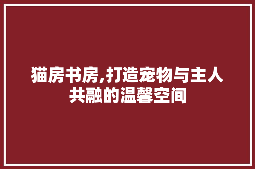 猫房书房,打造宠物与主人共融的温馨空间