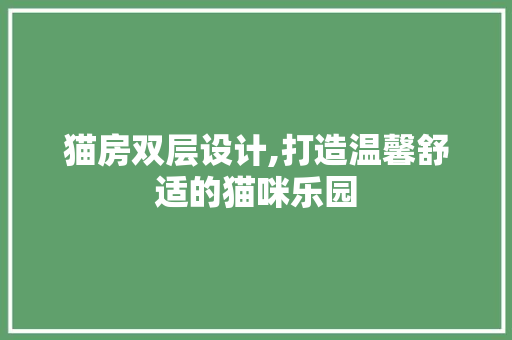 猫房双层设计,打造温馨舒适的猫咪乐园