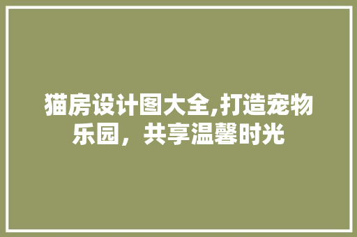 猫房设计图大全,打造宠物乐园，共享温馨时光