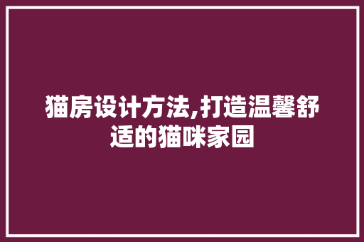 猫房设计方法,打造温馨舒适的猫咪家园