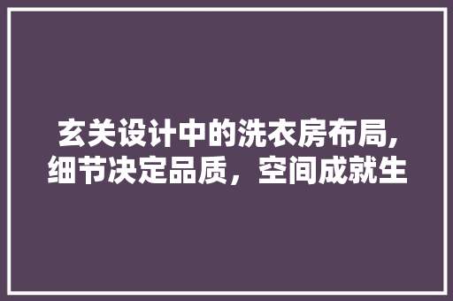 玄关设计中的洗衣房布局,细节决定品质，空间成就生活