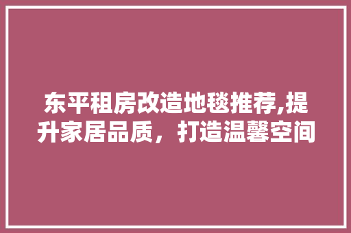 东平租房改造地毯推荐,提升家居品质，打造温馨空间