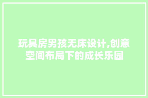 玩具房男孩无床设计,创意空间布局下的成长乐园