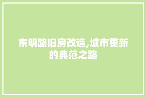 东明路旧房改造,城市更新的典范之路