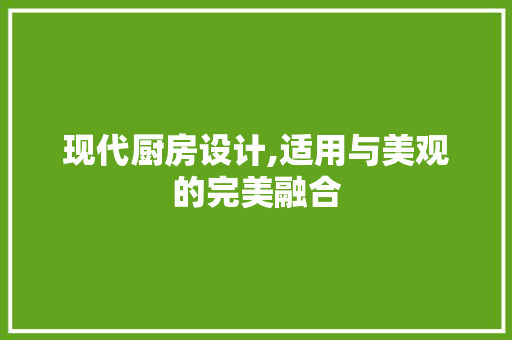 现代厨房设计,适用与美观的完美融合