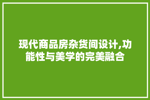 现代商品房杂货间设计,功能性与美学的完美融合