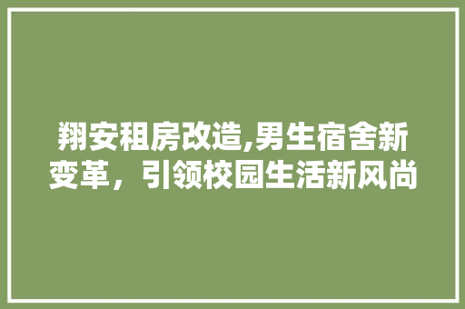 翔安租房改造,男生宿舍新变革，引领校园生活新风尚