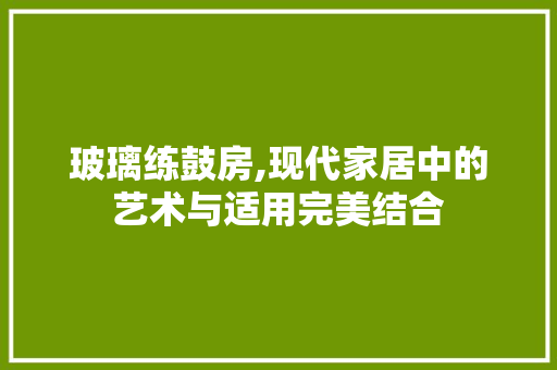 玻璃练鼓房,现代家居中的艺术与适用完美结合