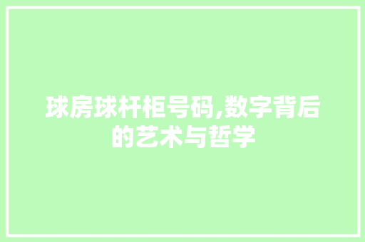 球房球杆柜号码,数字背后的艺术与哲学